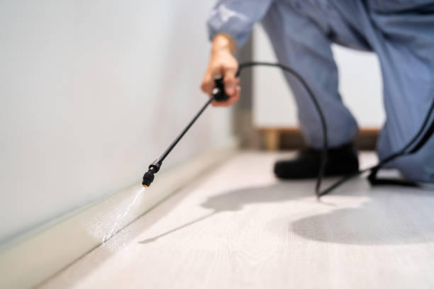Professional exterminator conducting IPM assessment in McMurray